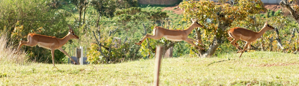 Outside 4 Resized Outside 4 Resized