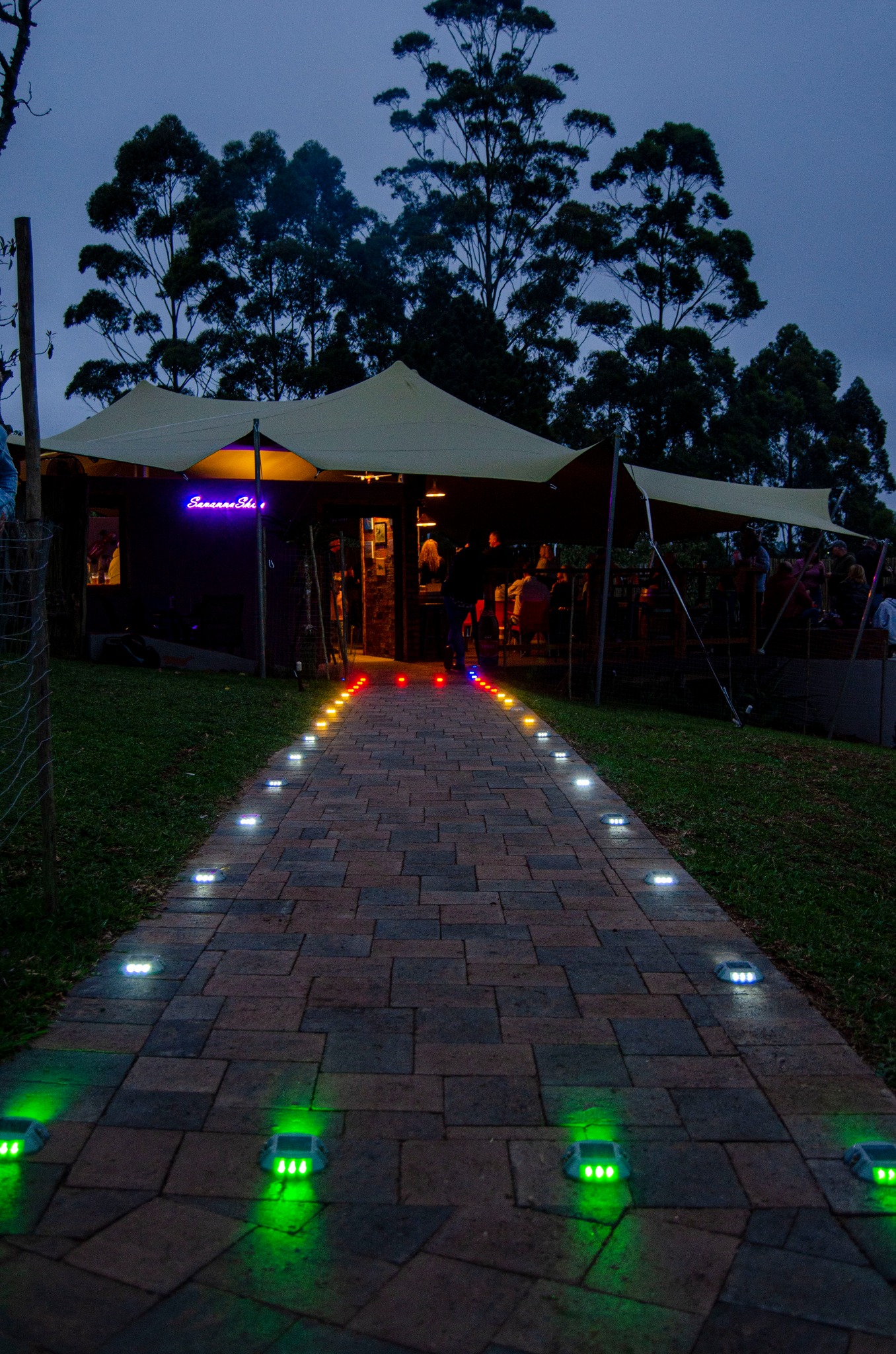 Savanah Skies 9 Savanah Skies 9